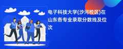 电子科技大学(沙河校区)在山东各专业录取分数线及位次2024