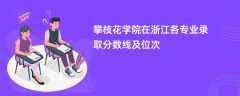 攀枝花学院2024在浙江各专业录取分数线及位次