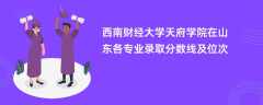 西南财经大学天府学院2024在山东各专业录取分数线及位次