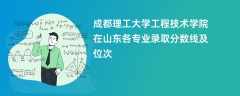成都理工大学工程技术学院2024在山东各专业录取分数线及位次