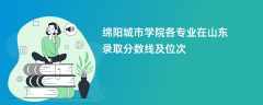 绵阳城市学院各专业在山东录取分数线及位次2024