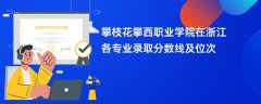攀枝花攀西职业学院2024在浙江各专业录取分数线及位次
