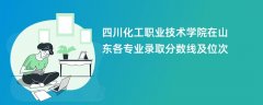四川化工职业技术学院在山东各专业录取分数线及位次2024