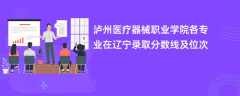 泸州医疗器械职业学院各专业在辽宁录取分数线及位次2024