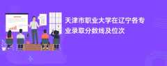 天津市职业大学在辽宁各专业录取分数线及位次2024