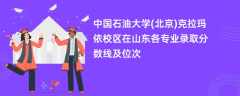 中国石油大学(北京)克拉玛依校区在山东2024各专业录取分数线及位次