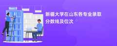 新疆大学在山东各专业录取分数线及位次2024