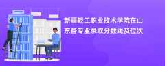 新疆轻工职业技术学院在山东2024各专业录取分数线及位次