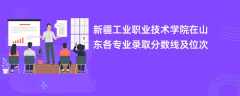 新疆工业职业技术学院2024在山东各专业录取分数线及位次