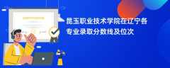 昆玉职业技术学院2024在辽宁各专业录取分数线及位次