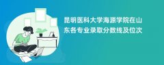 昆明医科大学海源学院2024在山东各专业录取分数线及位次