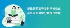 楚雄医药高等专科学校在山东各专业录取分数线及位次2024
