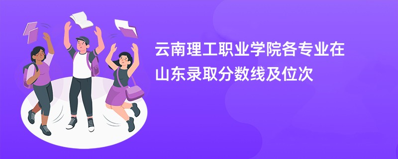 云南理工职业学院各专业在山东录取分数线及位次
