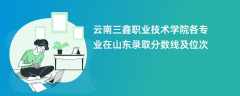 云南三鑫职业技术学院各专业在山东录取分数线及位次2024