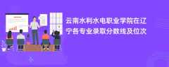 云南水利水电职业学院在辽宁2024各专业录取分数线及位次