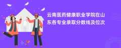 云南医药健康职业学院在山东各专业录取分数线及位次2024