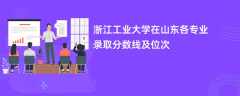 浙江工业大学在山东各专业录取分数线及位次2024