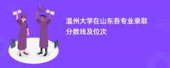 温州大学在山东2024各专业录取分数线及位次