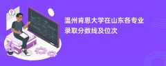 温州肯恩大学在山东各专业录取分数线及位次2024