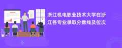 浙江机电职业技术大学2024在浙江各专业录取分数线及位次