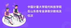 中国计量大学现代科技学院在山东各专业录取分数线及位次2024