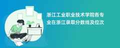 浙江工业职业技术学院各专业在浙江录取分数线及位次2024