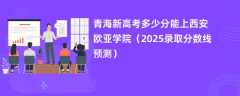 青海新高考多少分能上西安欧亚学院（2025录取分数线预测）