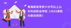 青海新高考多少分可以上山东科技职业学院（2025录取分数线预测）