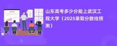 山东高考多少分能上武汉工程大学（2025录取分数线预测）