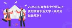 2025山东高考多少分可以上贵阳康养职业大学（录取分数线预测）