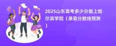 2025山东高考多少分能上哈尔滨学院（录取分数线预测）