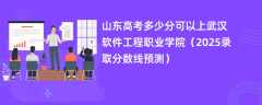 山东高考多少分可以上武汉软件工程职业学院（2025录取分数线预测）