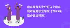 山东高考多少分可以上山东城市服务职业学院（2025录取分数线预测）