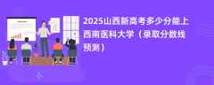 2025山西新高考多少分能上西南医科大学（录取分数线预测）