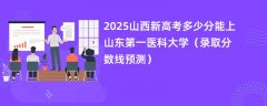 2025山西新高考多少分能上山东第一医科大学（录取分数线预测）