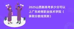 2025山西新高考多少分可以上广东岭南职业技术学院（录取分数线预测）