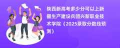 陕西新高考多少分可以上新疆生产建设兵团兴新职业技术学院（2025录取分数线预测）