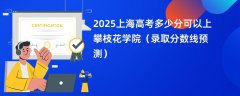 2025上海高考多少分可以上攀枝花学院(录取分数线预测)
