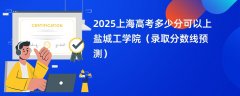 2025上海高考多少分可以上盐城工学院(录取分数线预测)