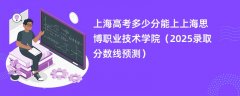 上海高考多少分能上上海思博职业技术学院(2025录取分数线预测)