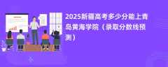 2025新疆高考多少分能上青岛黄海学院（录取分数线预测）