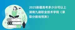 2025新疆高考多少分可以上湖南九嶷职业技术学院（录取分数线预测）