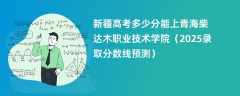 新疆高考多少分能上青海柴达木职业技术学院（2025录取分数线预测）