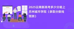 2025云南新高考多少分能上苏州城市学院（录取分数线预测）