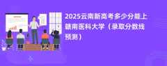 2025云南新高考多少分能上赣南医科大学（录取分数线预测）