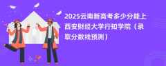2025云南新高考多少分能上西安财经大学行知学院（录取分数线预测）