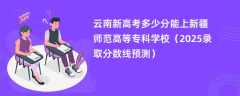 云南新高考多少分能上新疆师范高等专科学校（2025录取分数线预测）