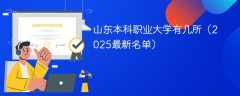 山东本科职业大学有几所（2025最新名单）