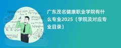 广东茂名健康职业学院有什么专业2025(学院及对应专业目录)