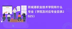 防城港职业技术学院有什么专业(学院及对应专业目录2025)